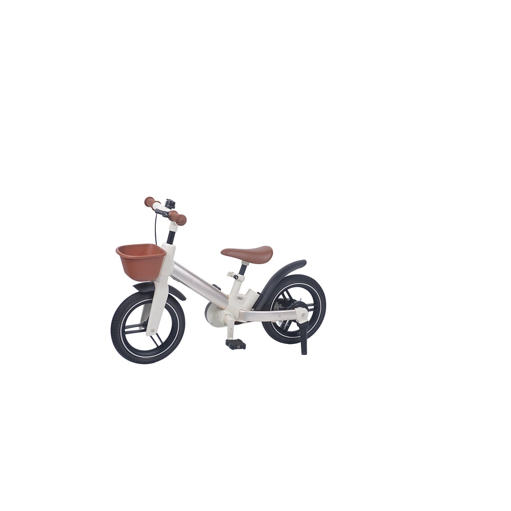 5 in 1 Kids Bike