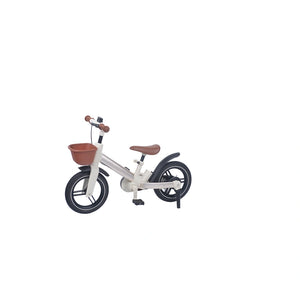 5 in 1 Kids Bike