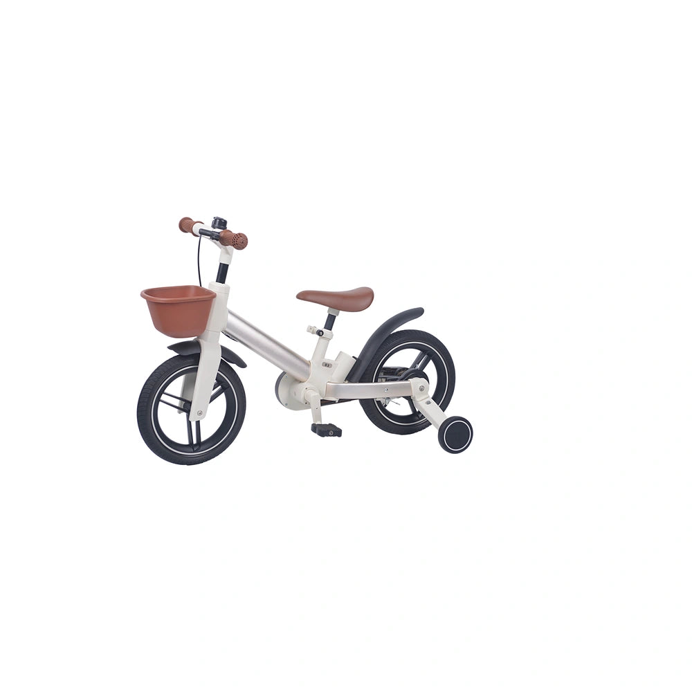 5 in 1 Kids Bike