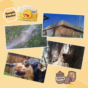 Disney Winnie the Pooh Digital Camera